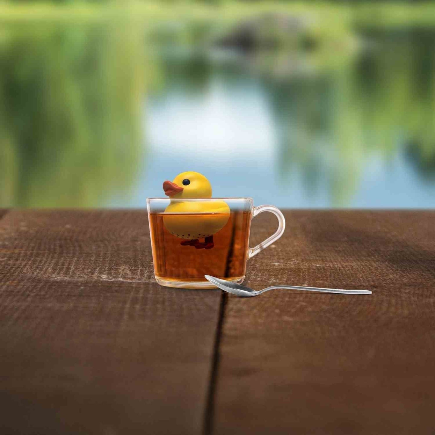 Infusore - Paperella