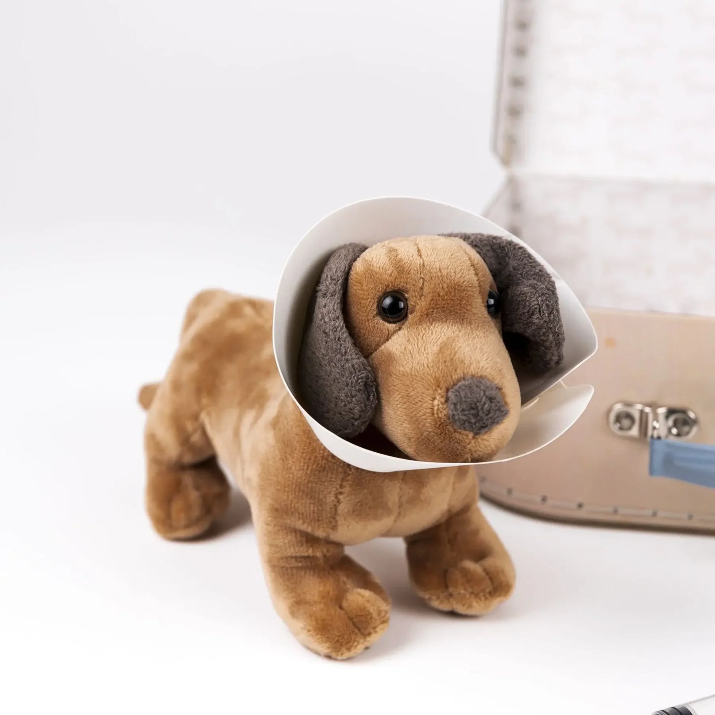 Set Veterinario