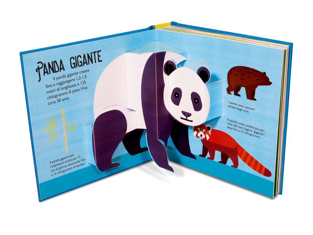 Animali Selvaggi Pop up