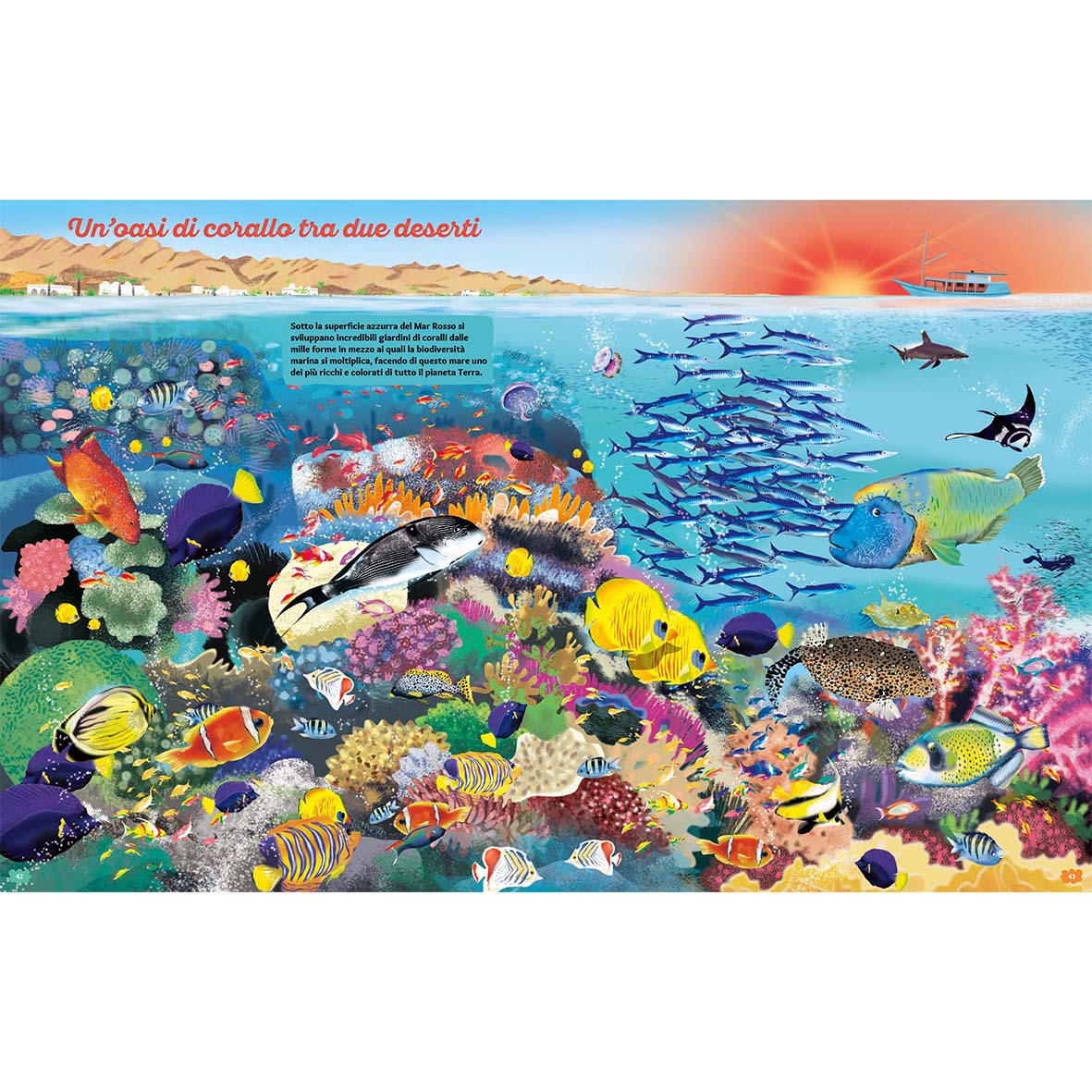 Pianeta Mare
