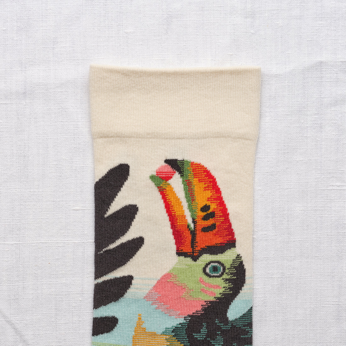 Toucan Naturel