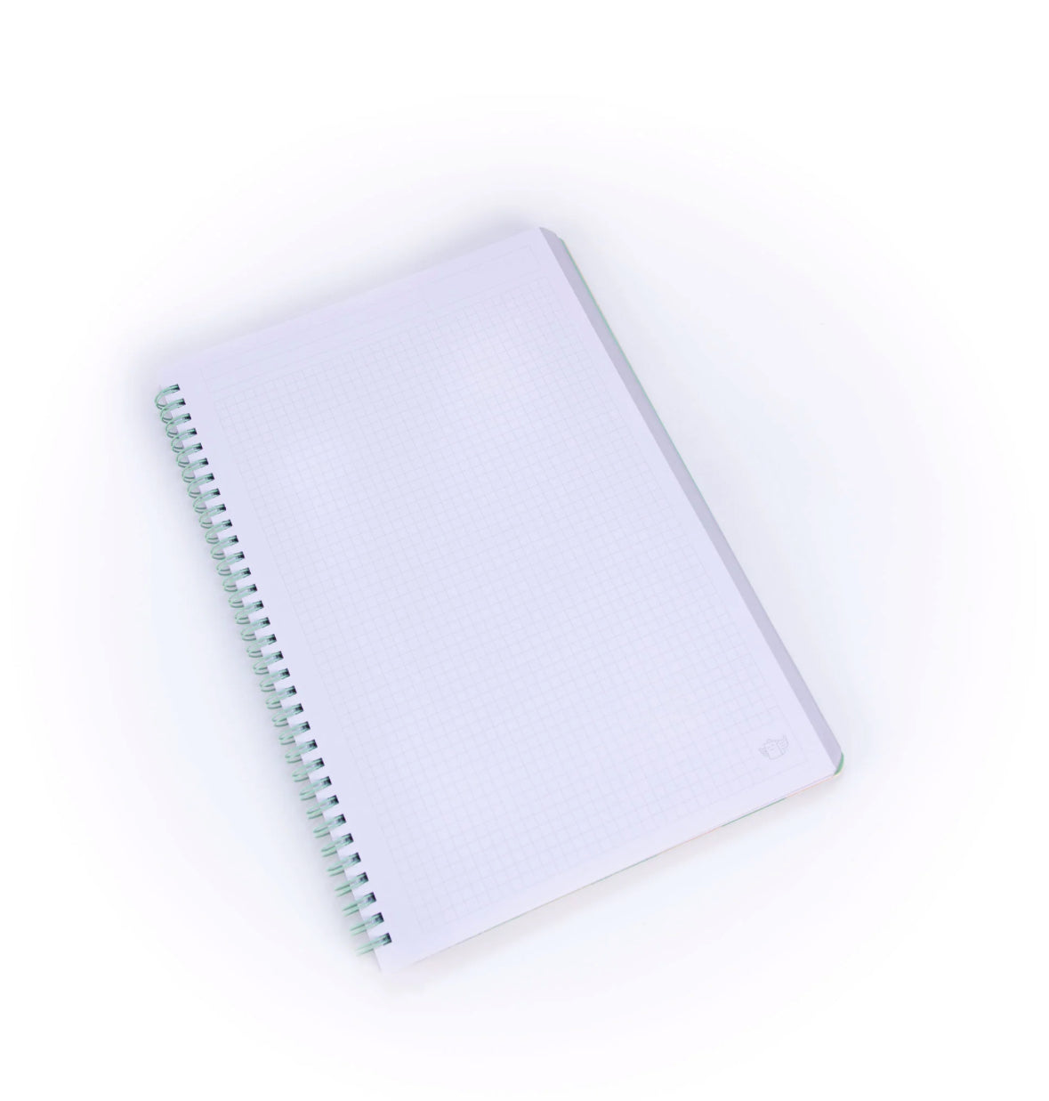 Quaderno Positività