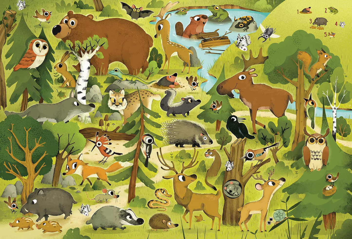 Libro Puzzle - Cerca e trova Foreste