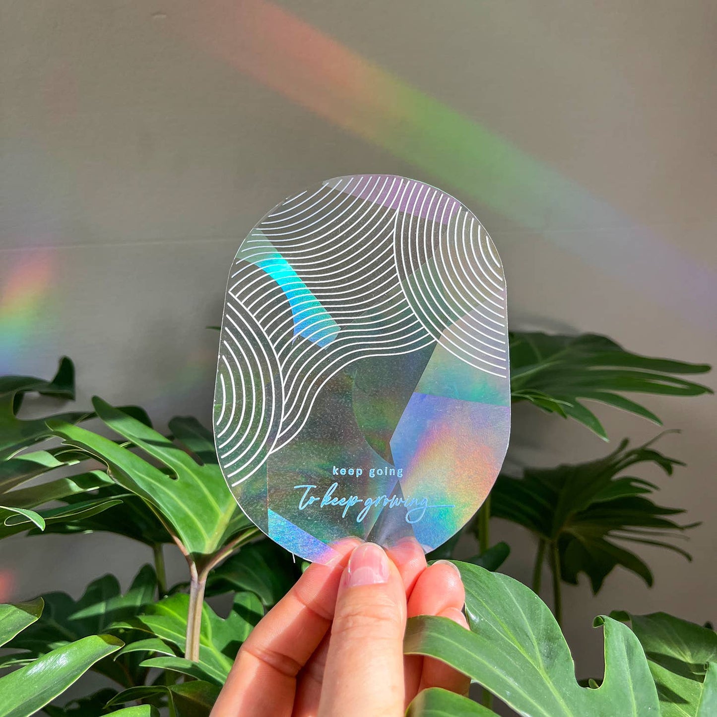 Rainbow Maker - Cresci