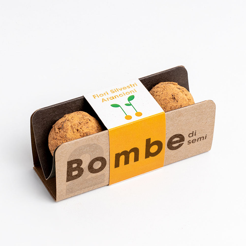 Bombe floreali - Fiori silvestri arancioni