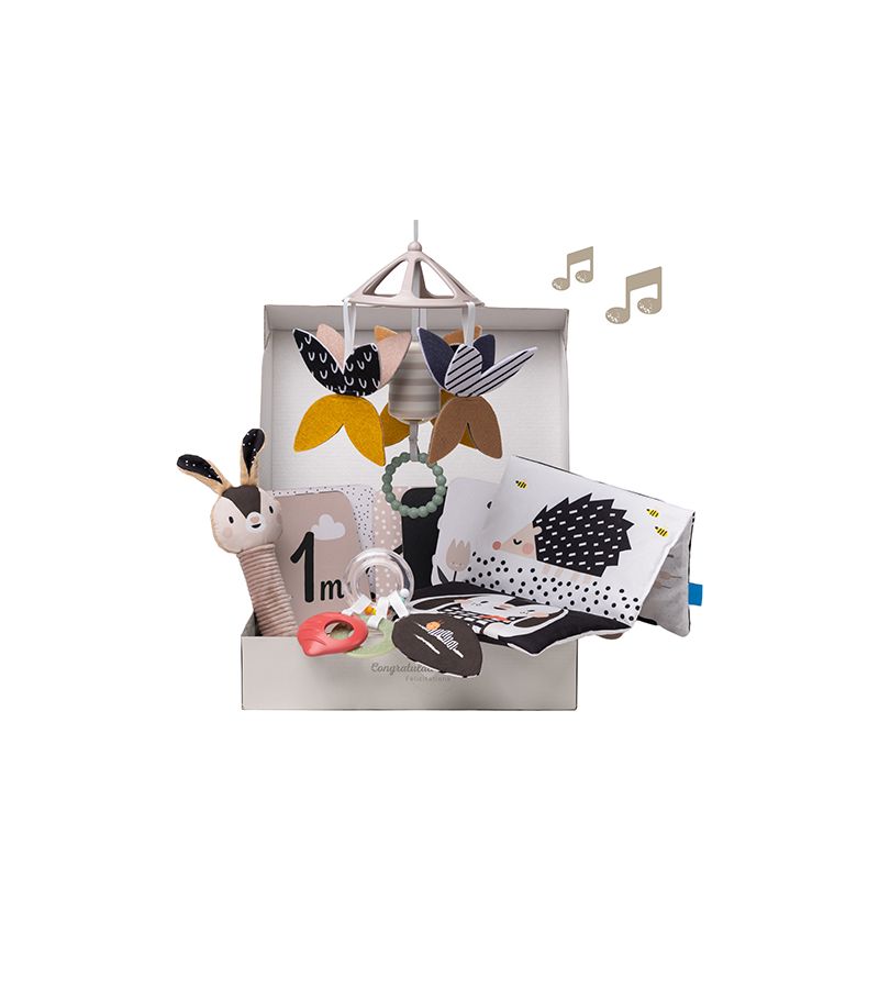 Newborn Black & White Kit