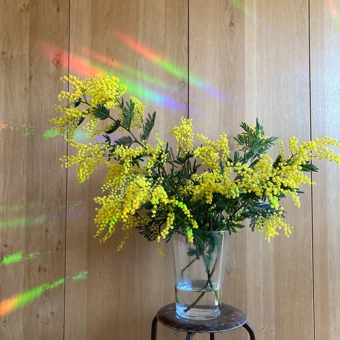 Rainbow Maker - Rallenta