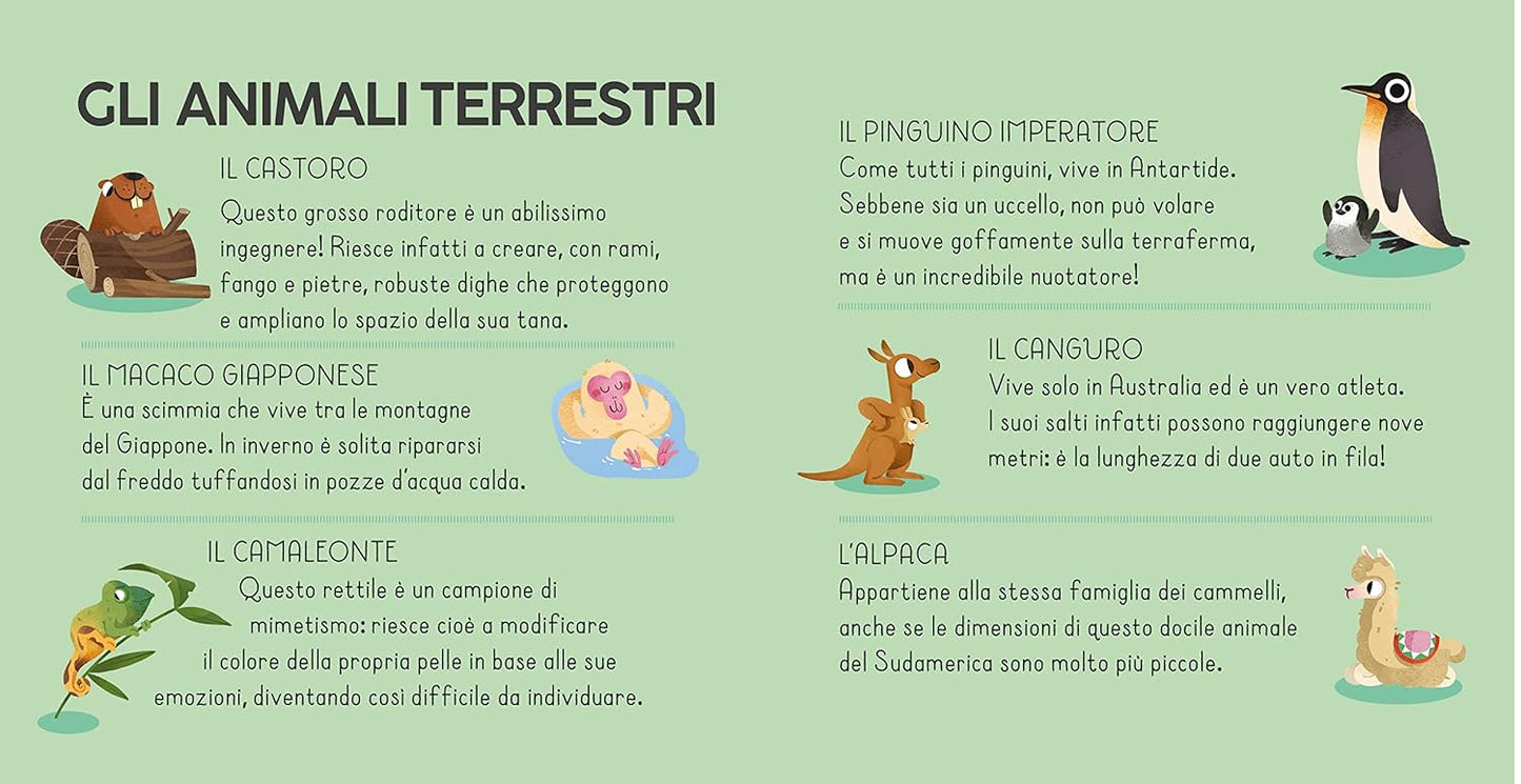Libro Puzzle - Mondo