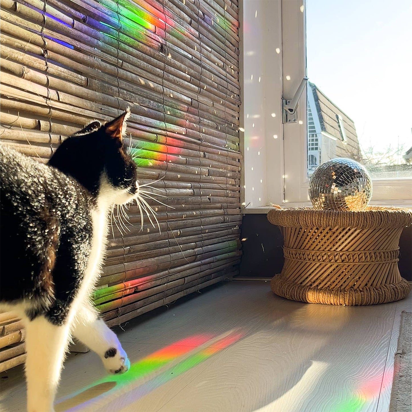 Rainbow Maker - Sei sole