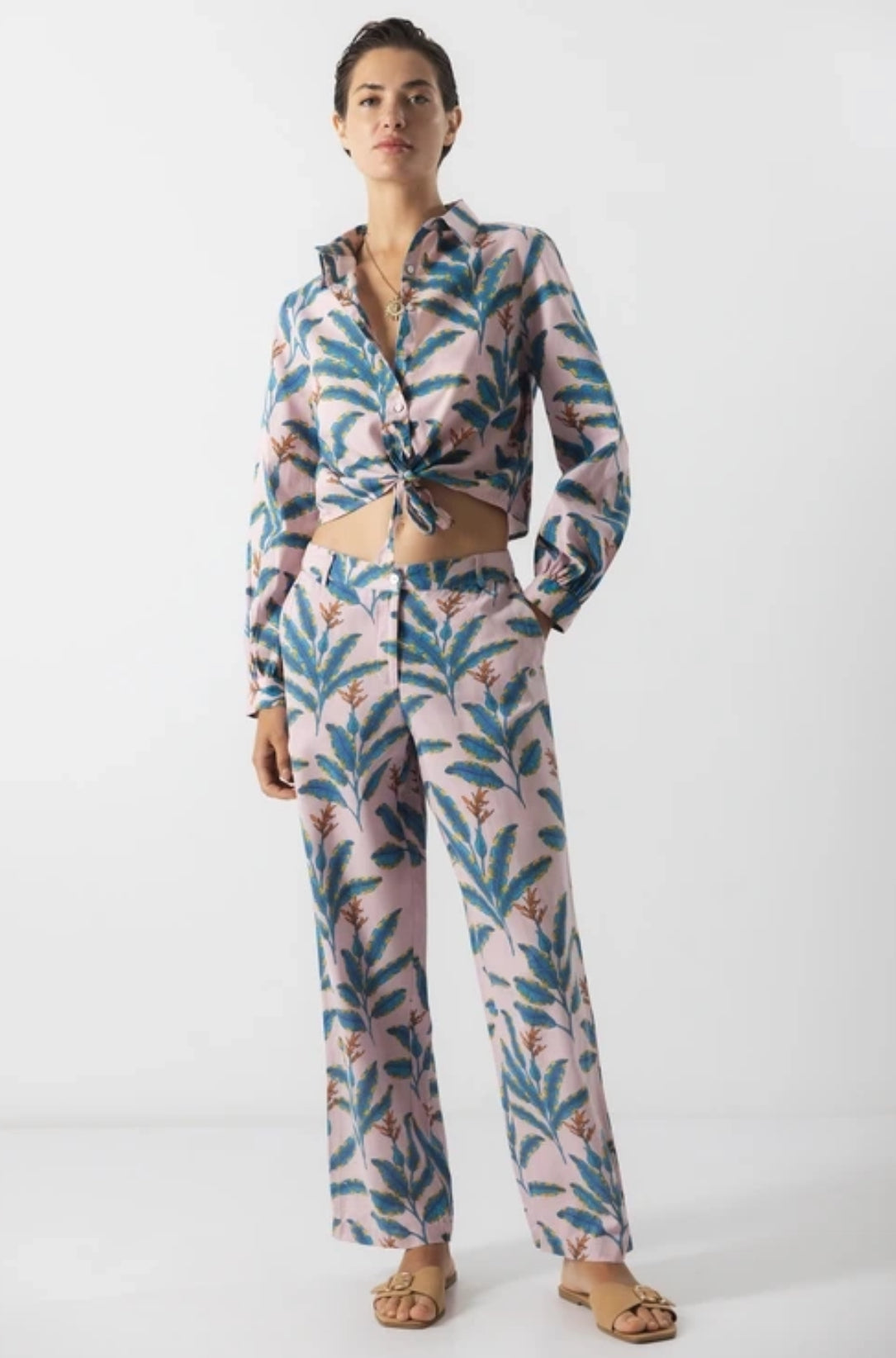 Pantalone Palms