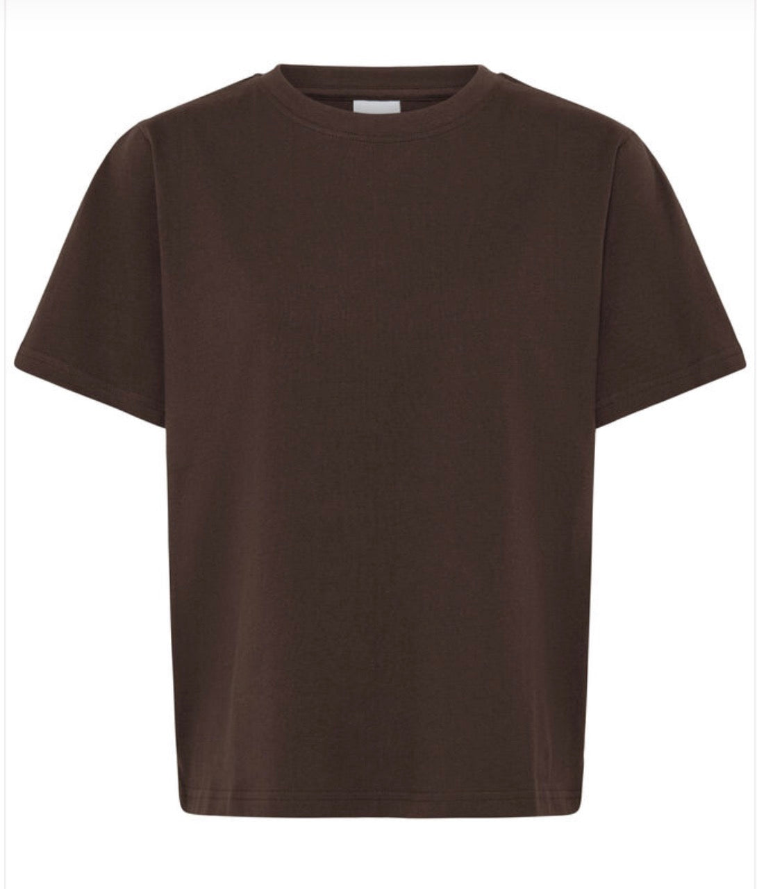 T-shirt Palmer - Cioccolato