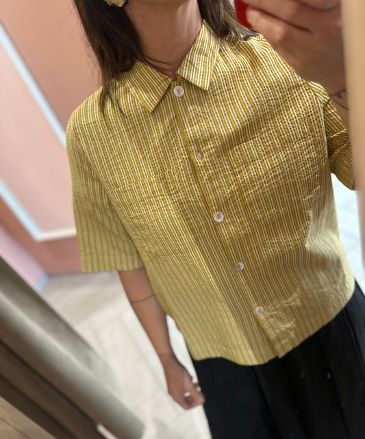 Camicia Senape