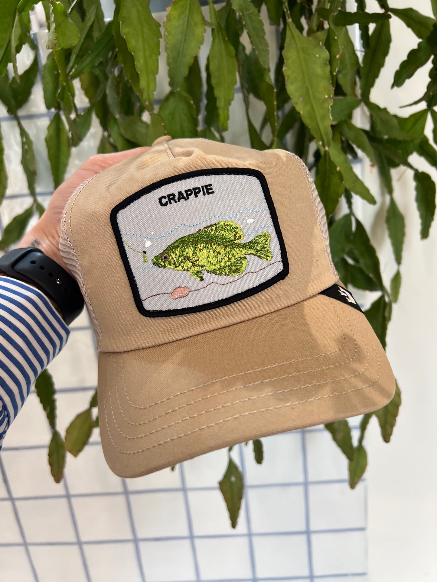 Cappello - Crappie