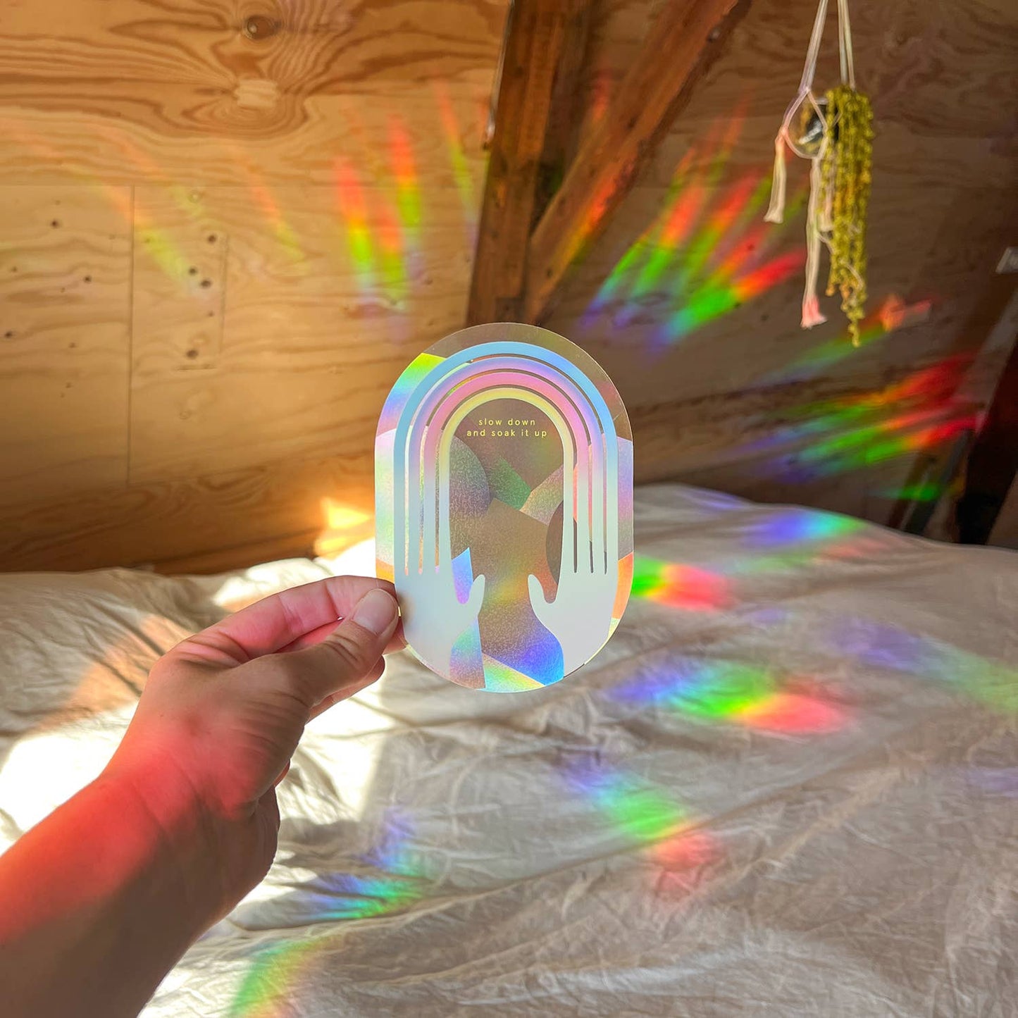 Rainbow Maker - Rallenta